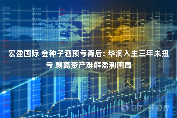 宏盈国际 金种子酒预亏背后: 华润入主三年未扭亏 剥离资产难解盈利困局