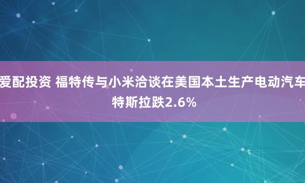 爱配投资 福特传与小米洽谈在美国本土生产电动汽车 特斯拉跌2.6%