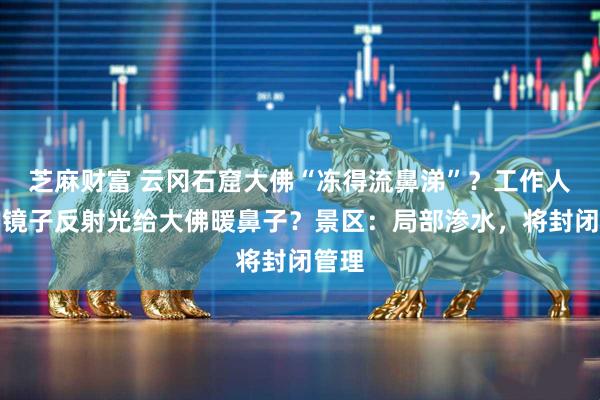 芝麻财富 云冈石窟大佛“冻得流鼻涕”？工作人员用镜子反射光给大佛暖鼻子？景区：局部渗水，将封闭管理