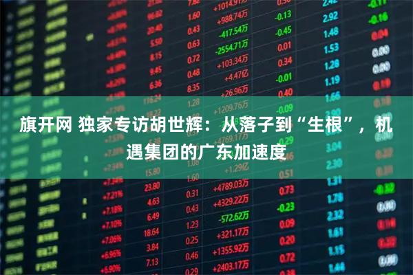 旗开网 独家专访胡世辉：从落子到“生根”，机遇集团的广东加速度