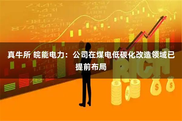 真牛所 皖能电力：公司在煤电低碳化改造领域已提前布局