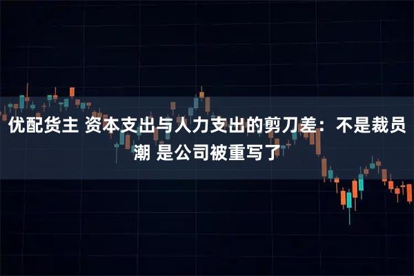 优配货主 资本支出与人力支出的剪刀差：不是裁员潮 是公司被重写了